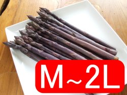 画像1: 【アスパラ】パープルアスパラ　Ｍ〜2Ｌサイズ　1.2kg