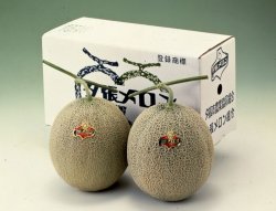 画像2: 夕張メロン【秀品1.6ｋｇ】5玉（元箱）