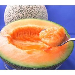 画像1: 夕張メロン【秀品1.6ｋｇ】5玉（元箱）