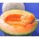 画像1: 夕張メロン【秀品1.6ｋｇ】5玉（元箱） (1)