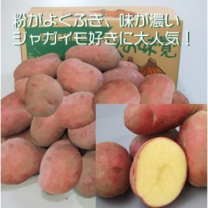 画像: 【じゃがいも】レッドムーン5Kg LMサイズ