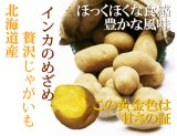 画像: 【じゃがいも】北海道産じゃがいもインカのめざめ 5Kg M〜Sサイズ