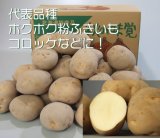 画像: 【じゃがいも】男爵 10Kg Ｌサイズ